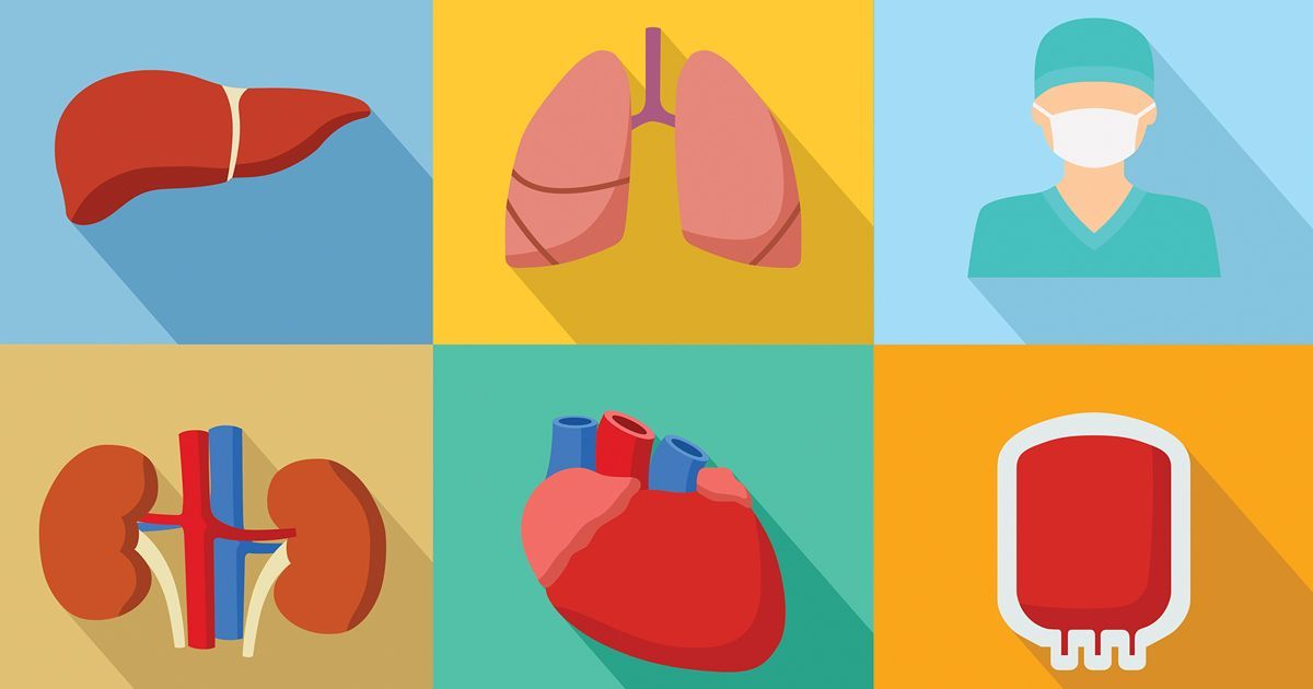 Global Organ and Tissue Transplantation Market Forecast Report
