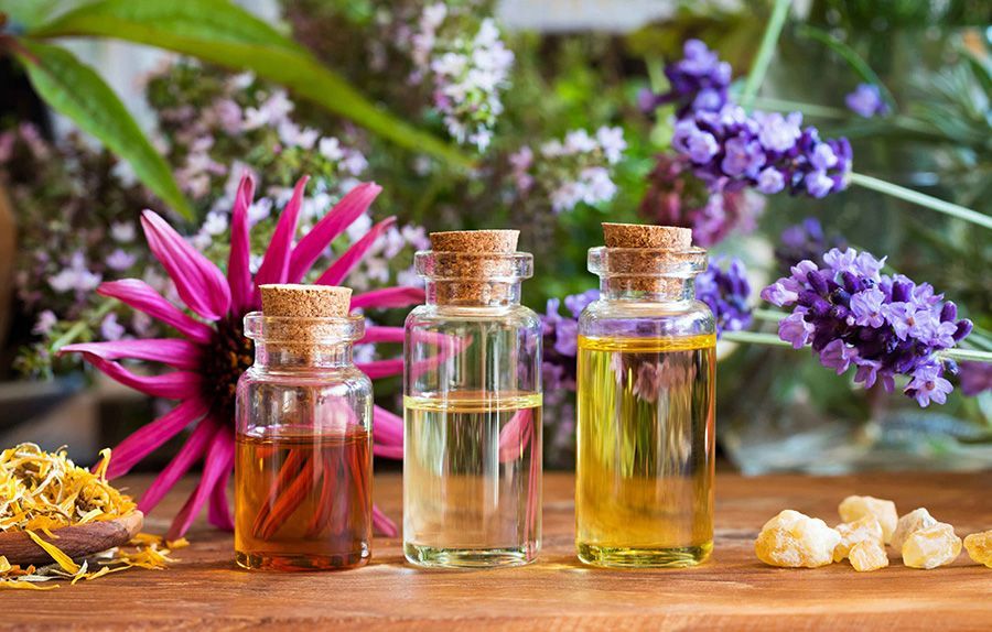 Organic Cosmetic Products Market Size, In-Depth Analysis Report