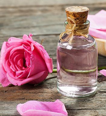 Ms. Perfume Market Size, Share, Growth and Global Forecast 2028