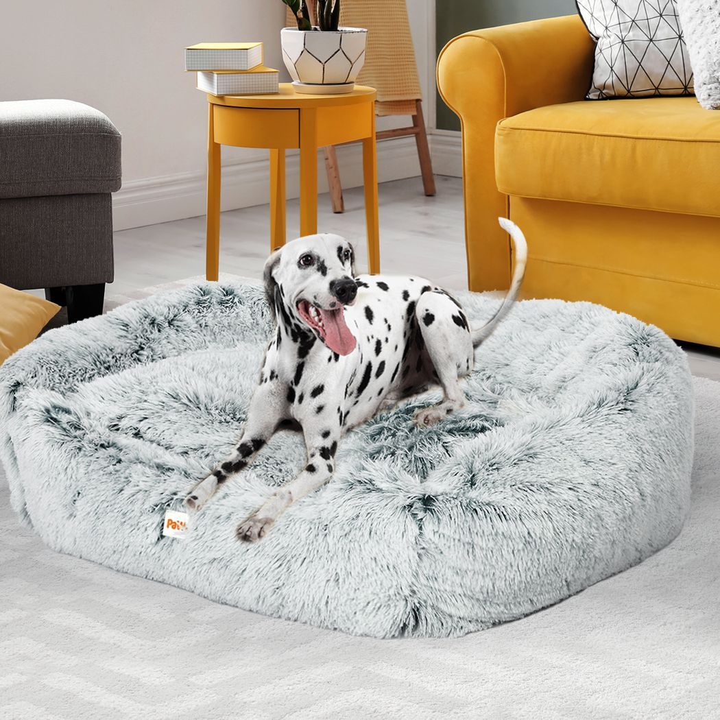 Pampering Your Paws Buy the Perfect Pet Beds
