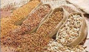 Oryzenin Market Report 2022 With Analysis of Covid-19 Impact
