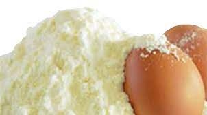 Ovalbumin Powder Market | Global Industry Trends, Segmentation