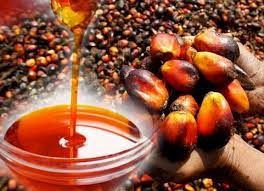 Palm Oil Market: Global Industry Analysis, Forecasts 2023-2030