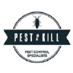 Ensuring Harmony in Homes : The Importance of Pest Control