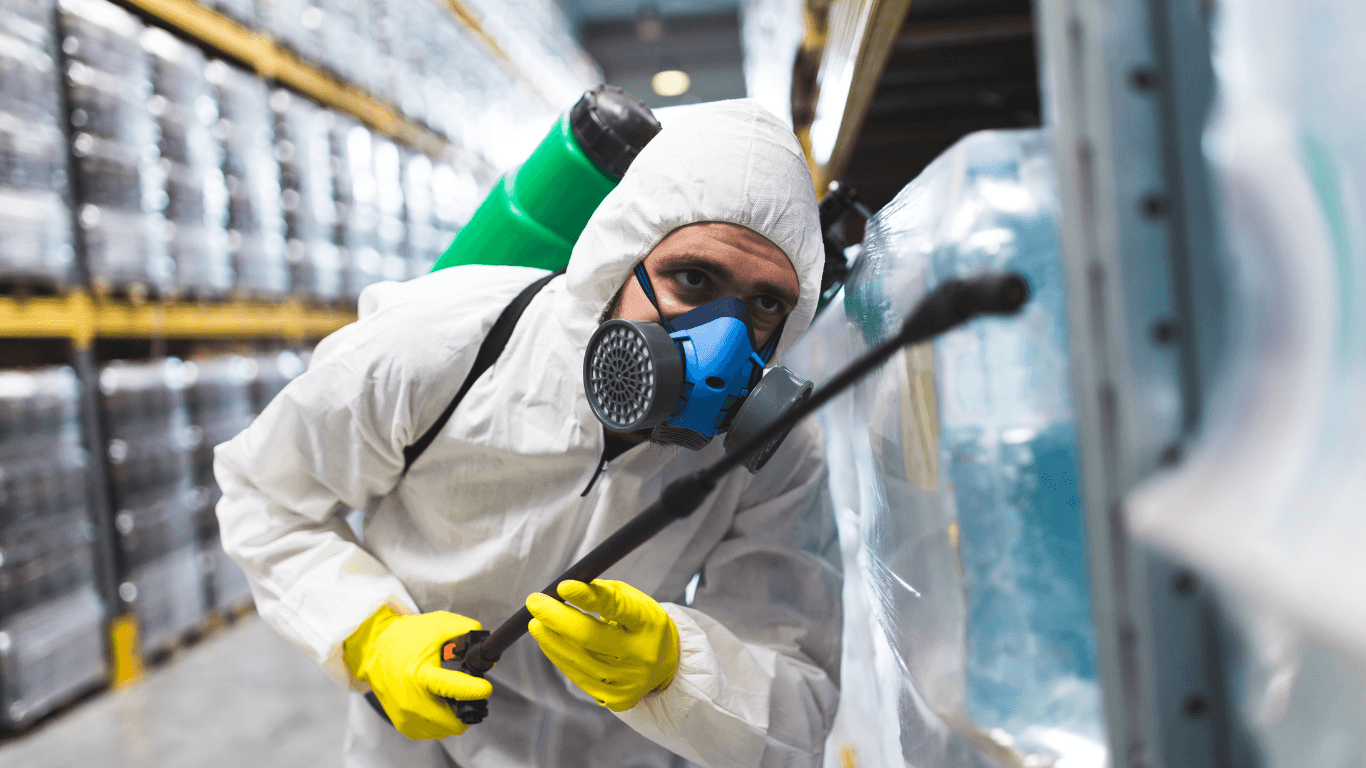 The Ultimate Guide to Preventing Pest Infestations in Your Home