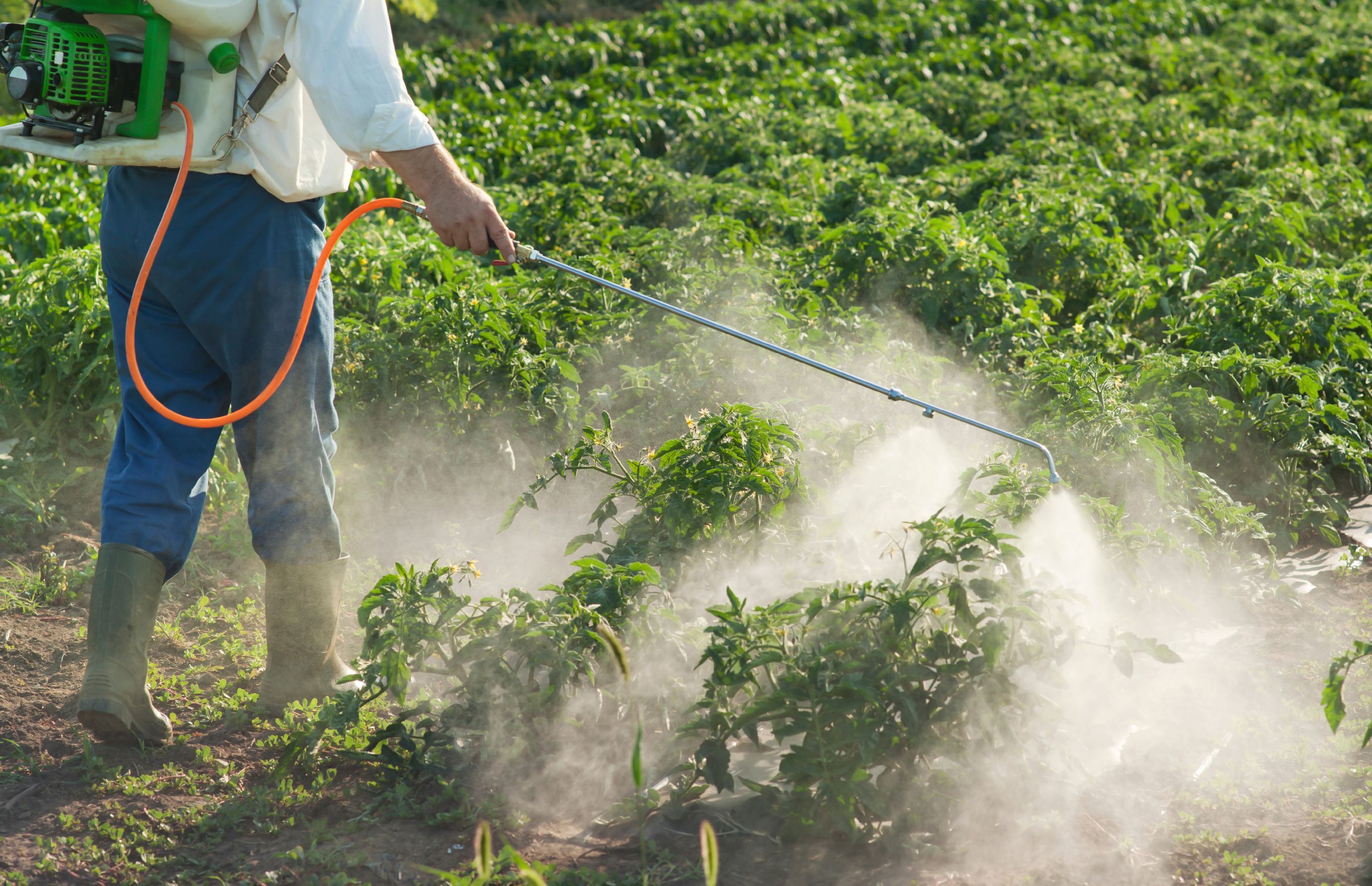 Pesticide Inert Ingredients Market Size & Forecast Report to 2028