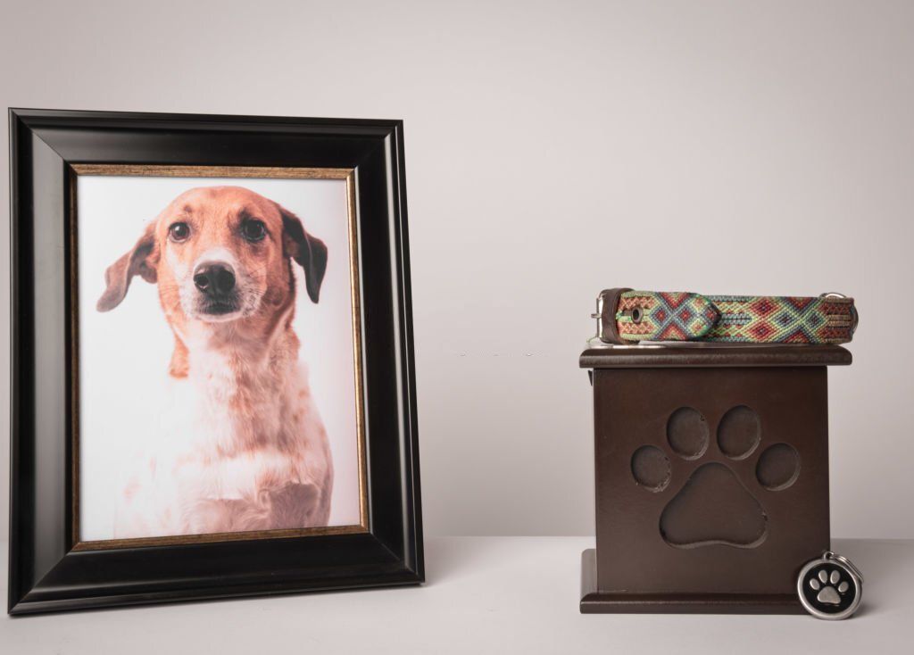 How to Say the Last Goodbye to Your Pet?