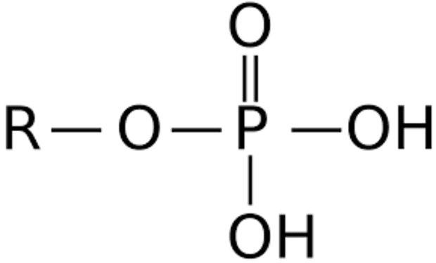 Phosphate Ester Market Outlook Report Upto 2028