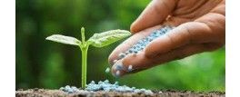 Phosphate Fertilizer Market Size, Overview & Forecast 2028