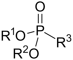 Phosphonate Market Report 2022-2028 | Latest Trend & Growth