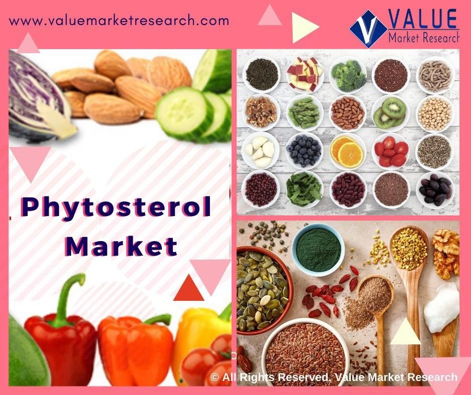 Phytosterols Market Share, Forecast Report to 2028