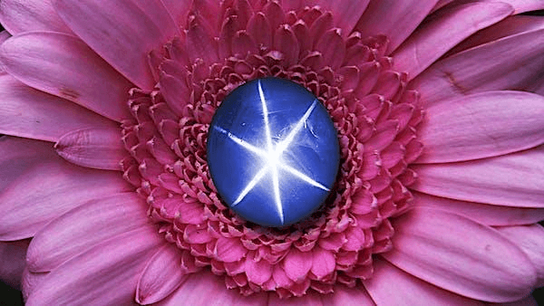 Tips and Factors to Consider