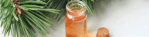 Pine Chemicals Market Key Players & Latest Trades Report to 2028