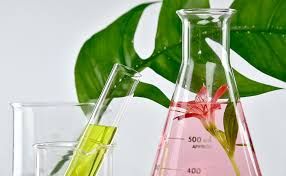 Plant Based Bioactives Market Size, Global Forecast to 2028
