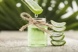 Plant Extracts Market Current Trends  Analysis Report Upto 2028