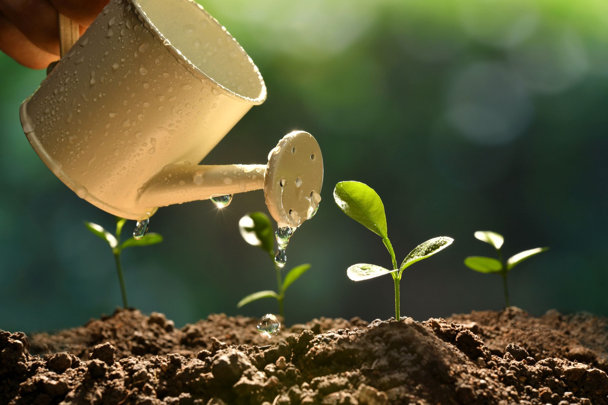Plant Growth Regulators Market Trends & Growth Outlook 2028