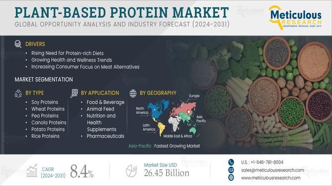 Plant-based Protein Market Driven by Non-GMO Demand and Clean Label Movement