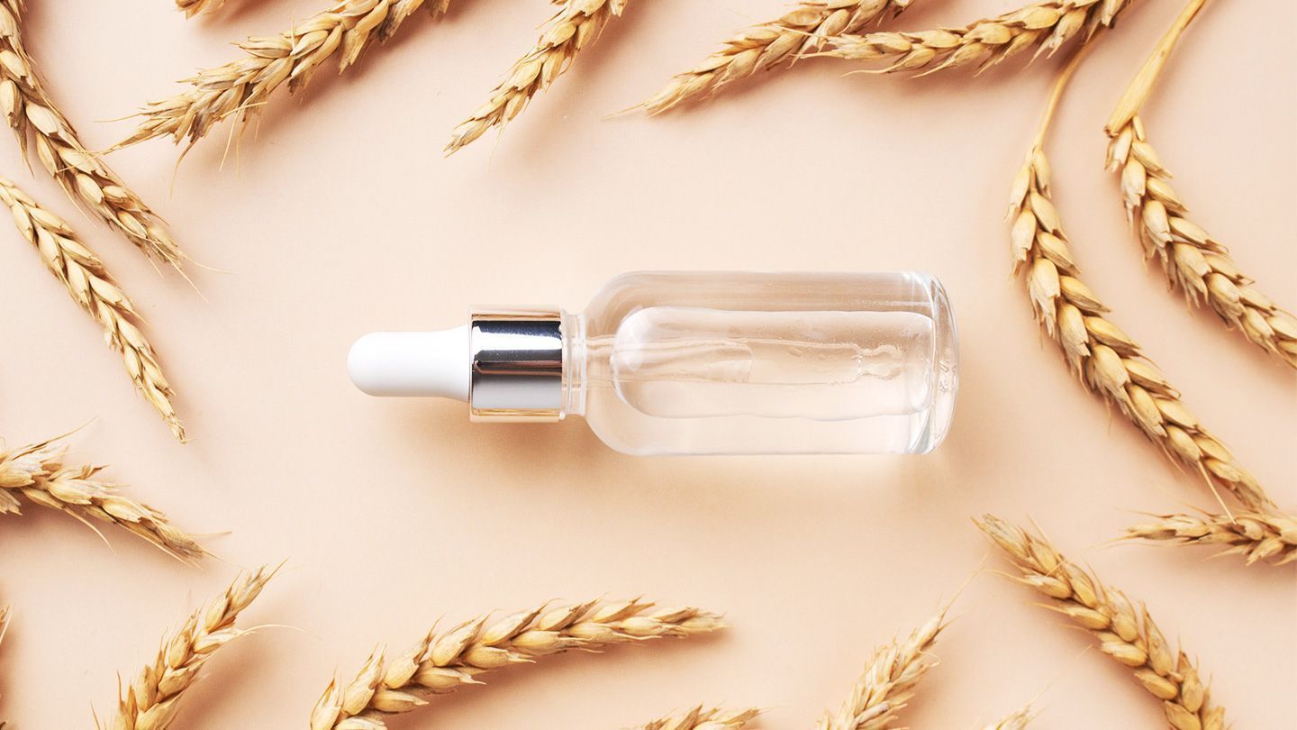 Polymer Grade Azelaic Acid Market Size & Forecast Report to 2028