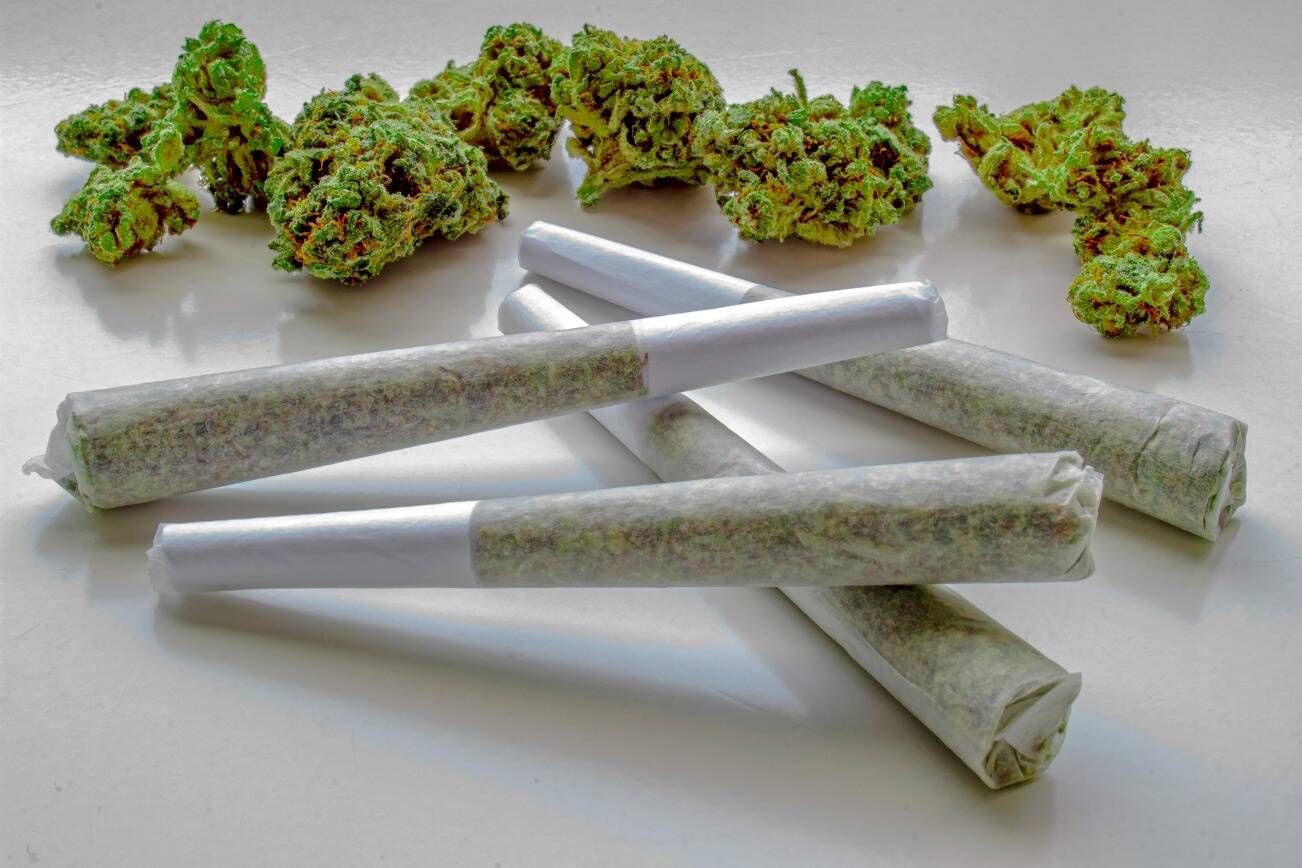 How to Make Infused Pre Rolls: Elevating Your Cannabis Experience