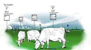 Precision Livestock Farming Market Size, Forecast Report to 2028
