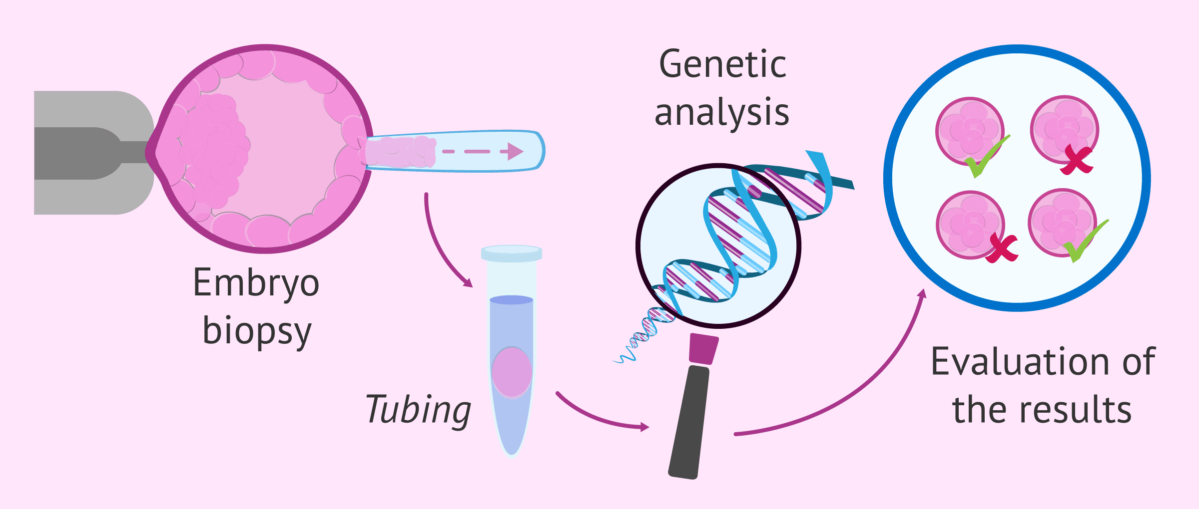 Preimplantation Genetic Testing Market Report, Latest Trends
