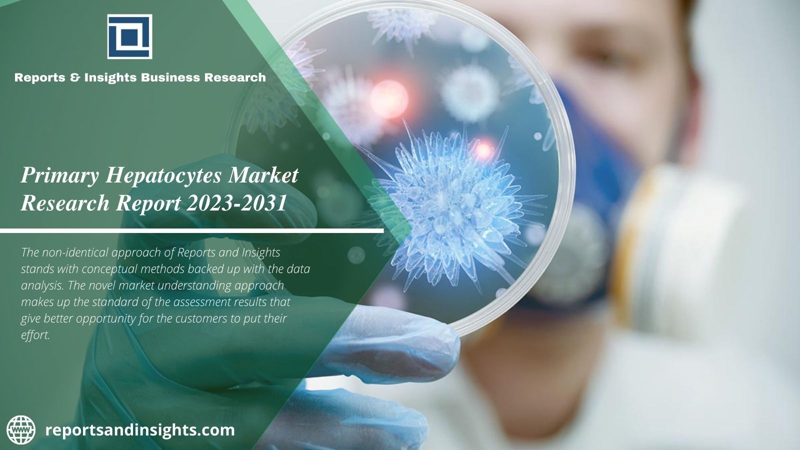 Global Market for Primary Hepatocyte Market Value 2023 to 2031.