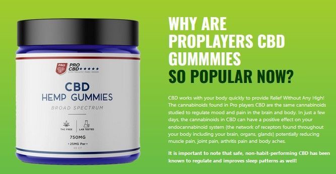 Proplayers Cbd gummies:Reviews – Is It Really Effective?
