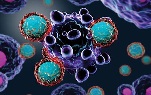 Prostate Cancer Therapeutics Market Trends & Size Report to 2028