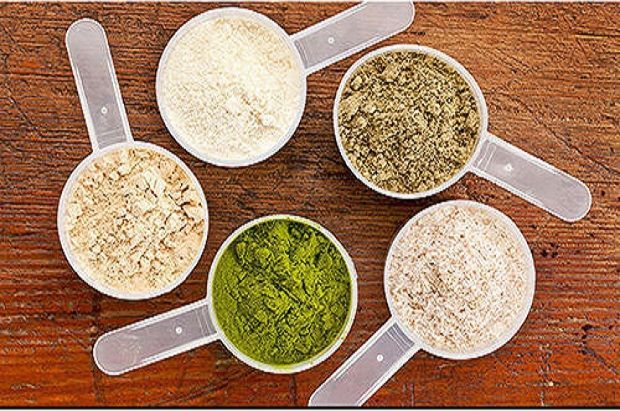 Protein Hydrolysates Market Global Industry Analysis, Size, 2030