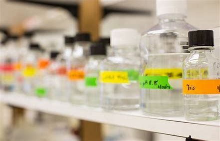 Proteinase K Market Revenue Report 2028 | Value Market Research