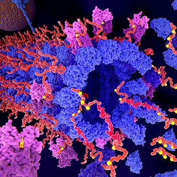Proteomics Market Share, Latest Trades and Growth Analysis 
