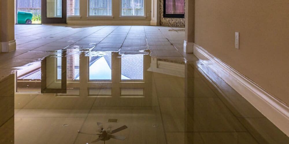 Water Damage in Phoenix: Causes, Prevention, and Restoration