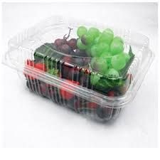Punnet Trays Market Analysis and Industry Forecast Report, 2028
