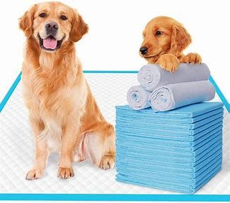 Puppy Training Pads Market Share, Size Report to 2028