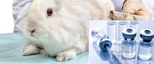 Pyrogen Testing Market Analysis, Size, Share and Forecast 2027