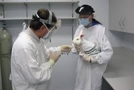 Pyrogen Testing Market Trends and Forecast Report to 2028
