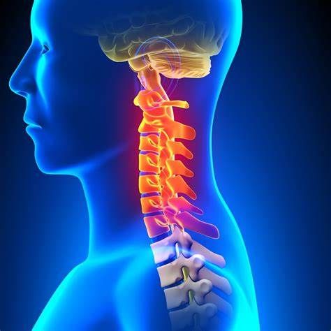 Quadriplegia Treatment Market Report 2021-2028