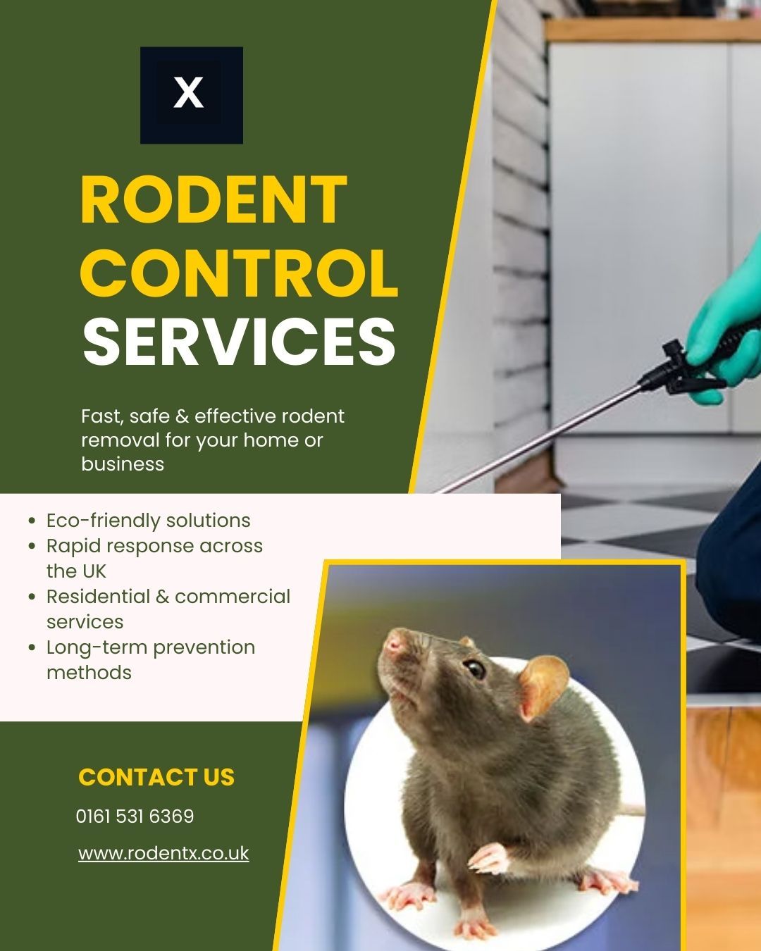 Best Pest Control Services in Manchester: What to Look For in 2026