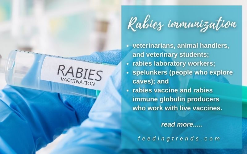 Rabies Vaccine, Immunization & Its Risk Factors