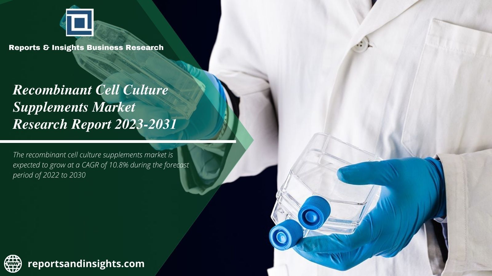 Demand for Recombinant Cell Culture Supplements Market Size 2023: