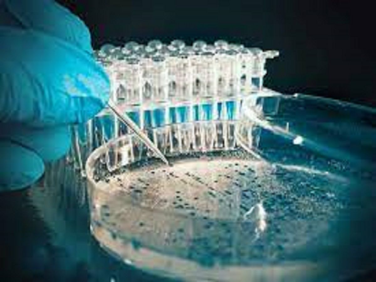 Recombinant Protein Market Size, In-Depth Analysis Report