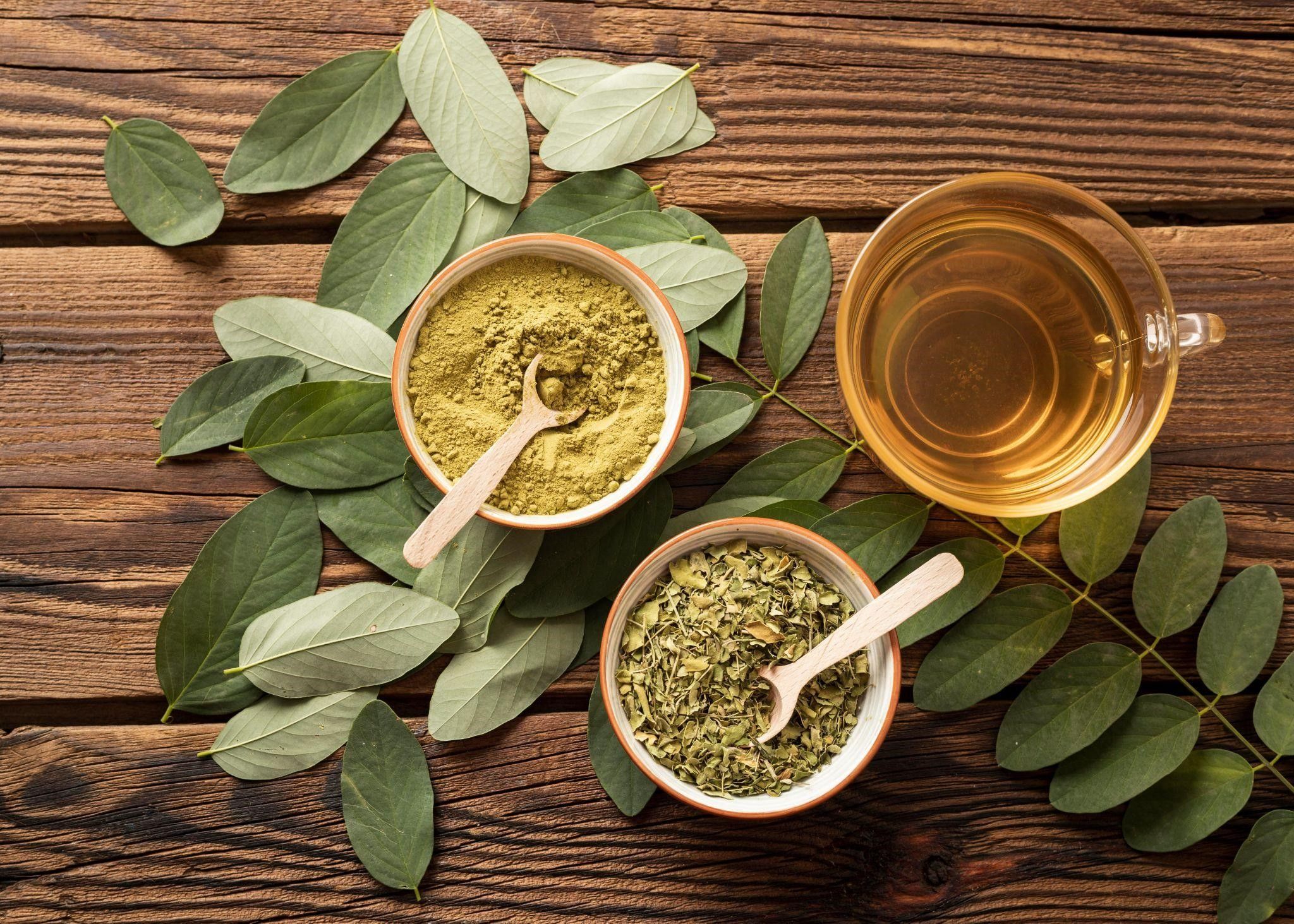 How to Choose the Best Kratom Strain From Kratom Point