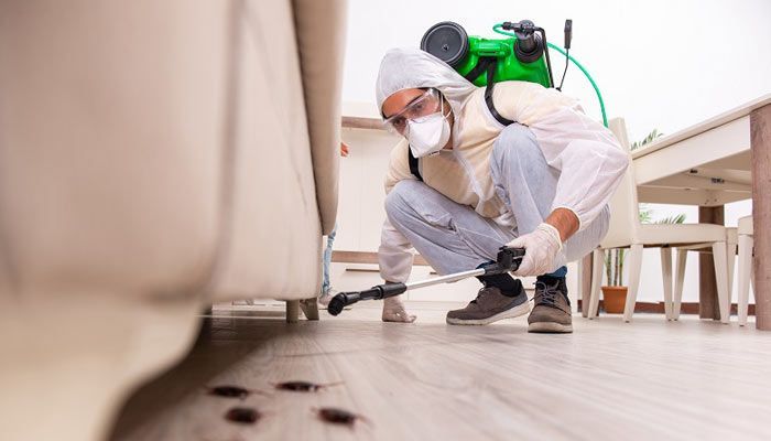 Say Goodbye to Pests Forever With Pest Control Wilston