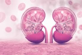 Report on Renal Anemia Treatment Market Research 2028