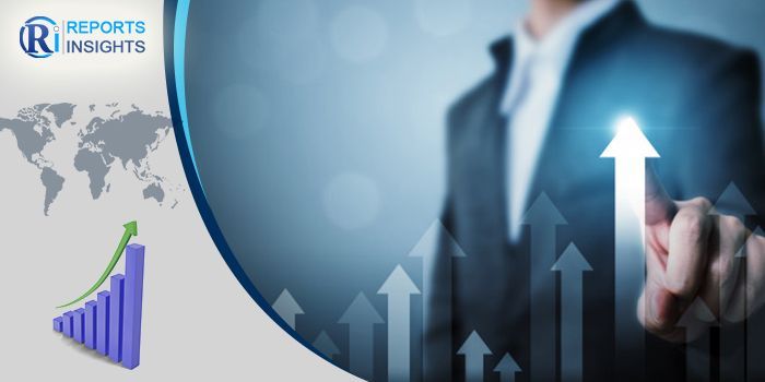 u.s High Temperature Silicone Market Executive Outline 