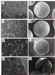 Resorcinol Formaldehyde Latex Market Forecast Report to 2028
