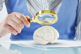 Rett Syndrome Therapeutics Market Forecast Report to 2028