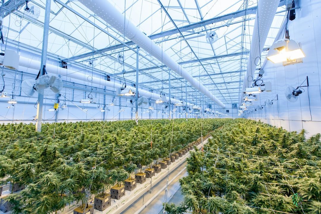 United Kingdom Greenhouse Market : Analysis of Industry Size