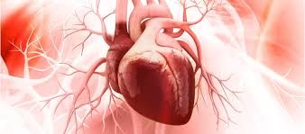 Rilonacept Drugs Market Size, In-Depth Analysis Report 
