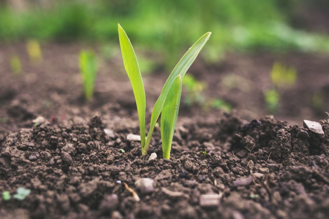 India Agricultural Biologicals Market Forecast 2015-2025: Trends